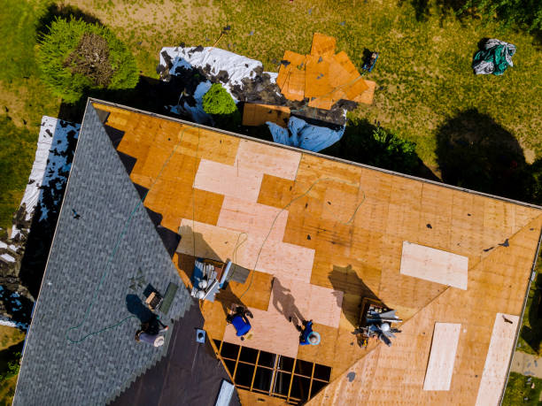 Best Metal Roofing Contractor  in Huntsville, MO